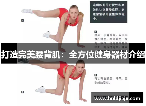 打造完美腰背肌：全方位健身器材介绍