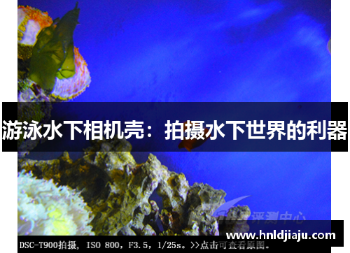 游泳水下相机壳:拍摄水下世界的利器 游泳水下相机壳:拍摄水下世界的利器