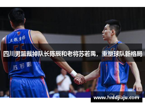 四川男篮裁掉队长陈辰和老将苏若禹，重塑球队新格局